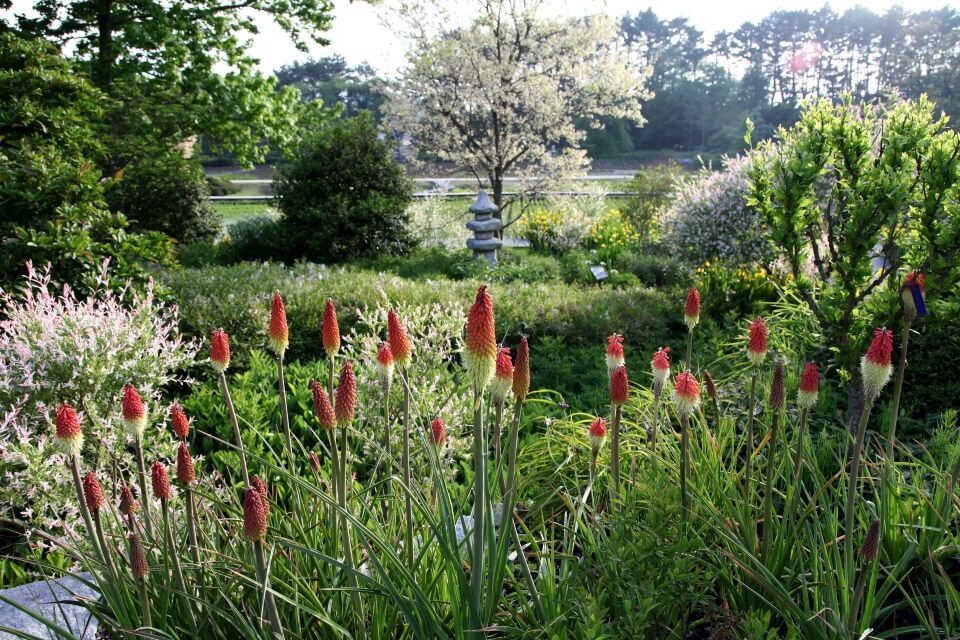 천리포수목원 (충남 태안)