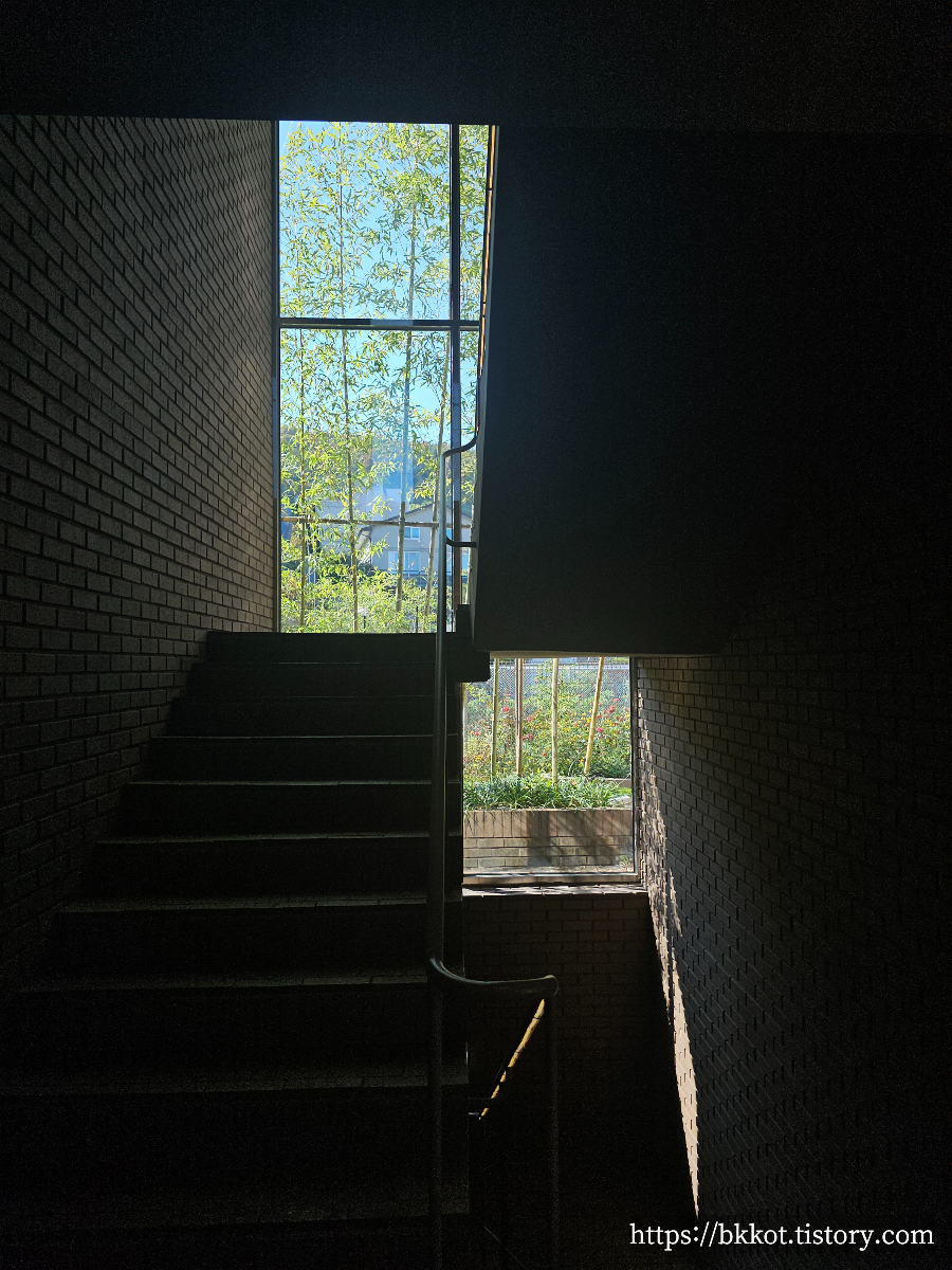 용인 수지 타임투비 브런치