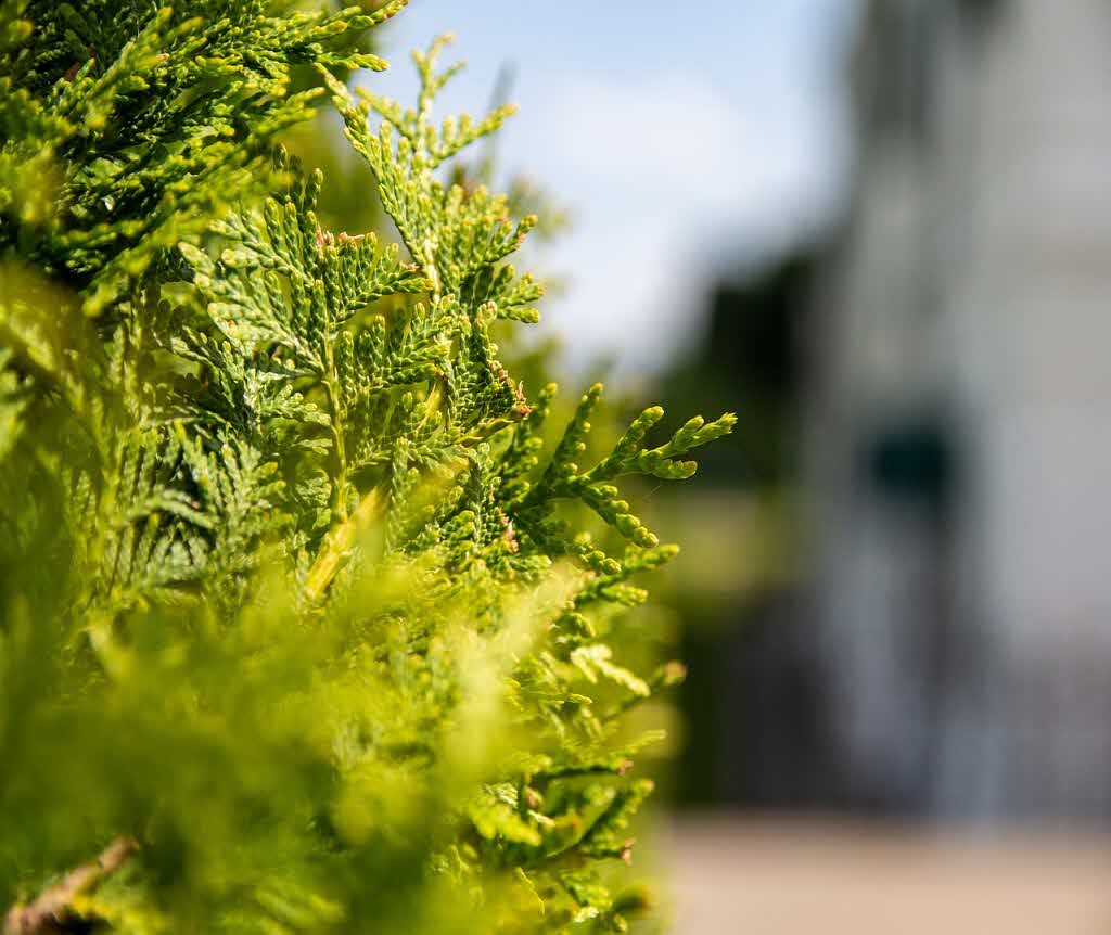 구직급여 주요 용어 - 대기기간