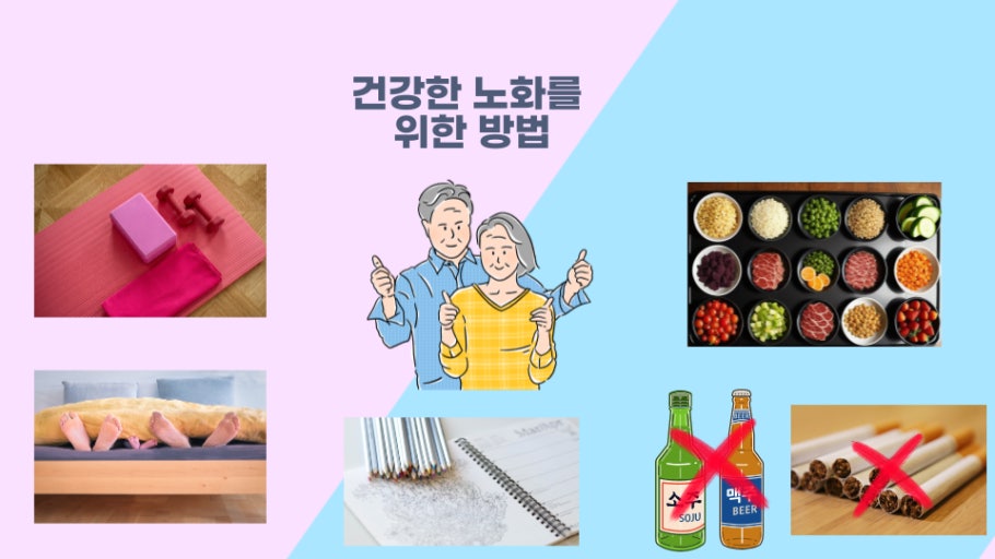건강한 노화를 위한 방법