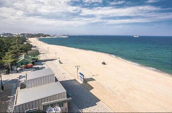 연곡솔향기캠핑장2