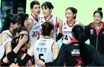 여자배구 중계 관련 이미지 4