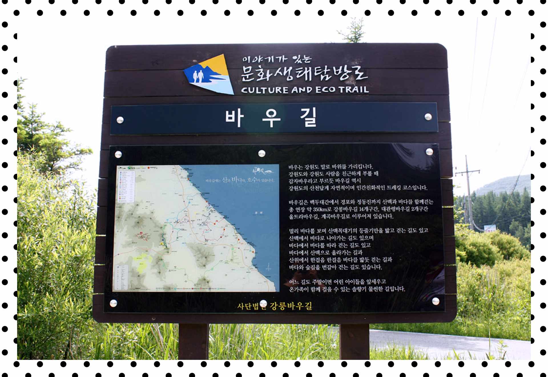 강릉 경포호수와 해변 솔숲 어린이날 산책