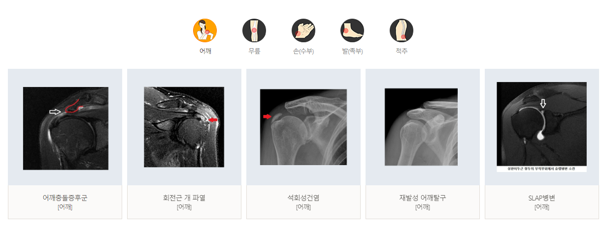 대정병원 진료과목