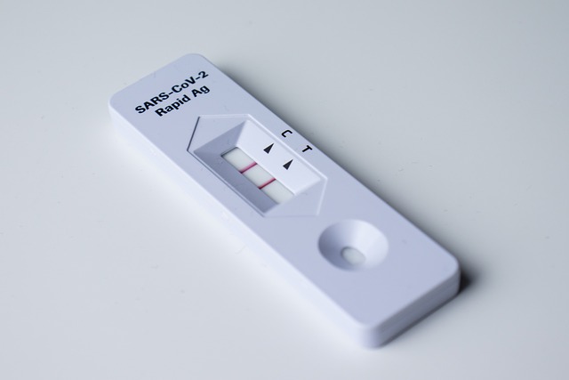 코로나 진단키트