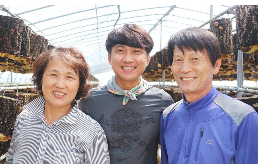 6시내고향 경남 산청 상황버섯 명가 지리산새희망상황버섯 주문방법