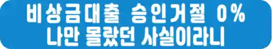 한국비상금협회-비상금-대출방법