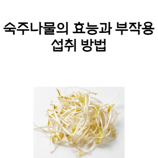 숙주나물의 효능과 부작용, 섭취 방법