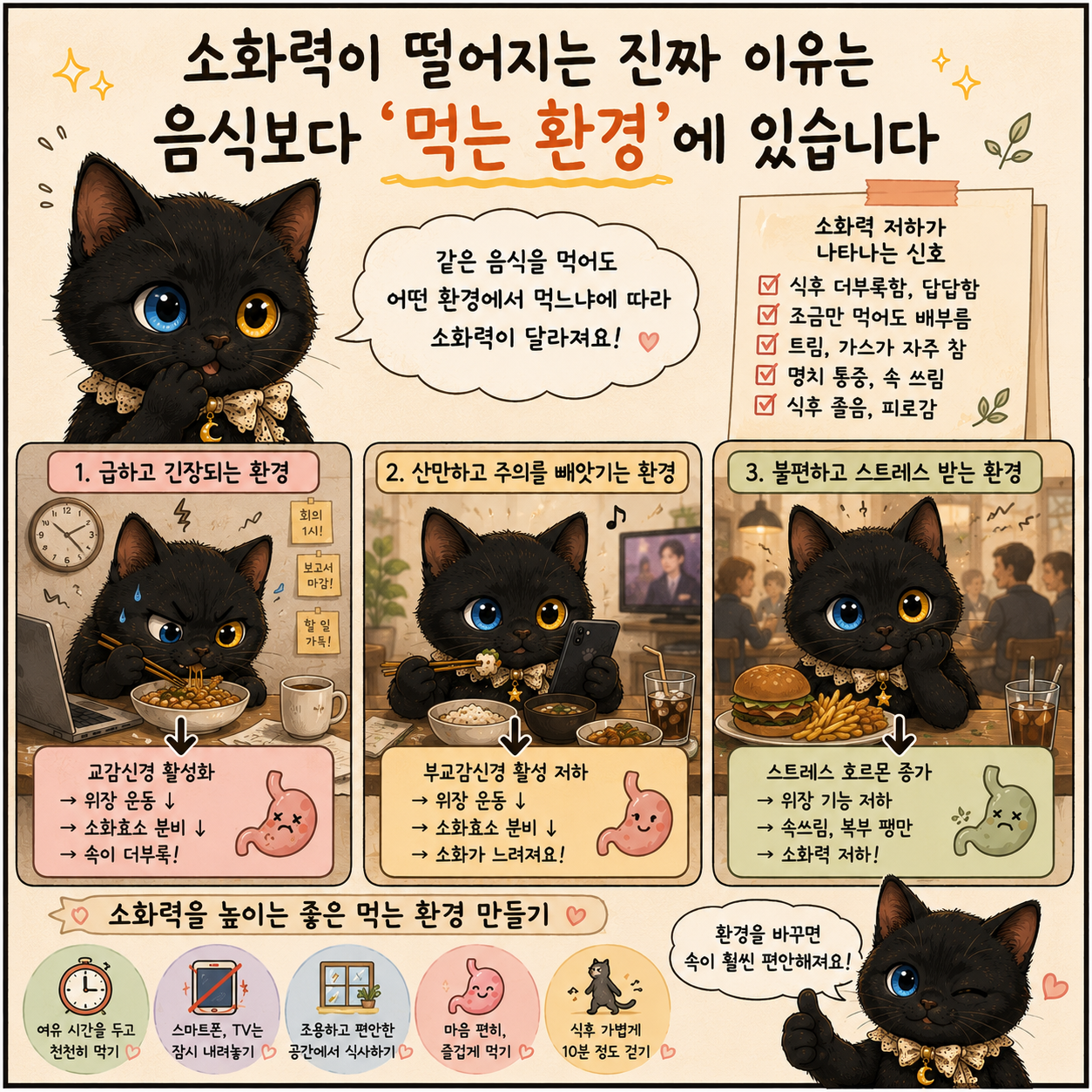 소화력이 떨어질 때 나타나는 신호, 단순한 체질 문제가 아닐 수 있습니다