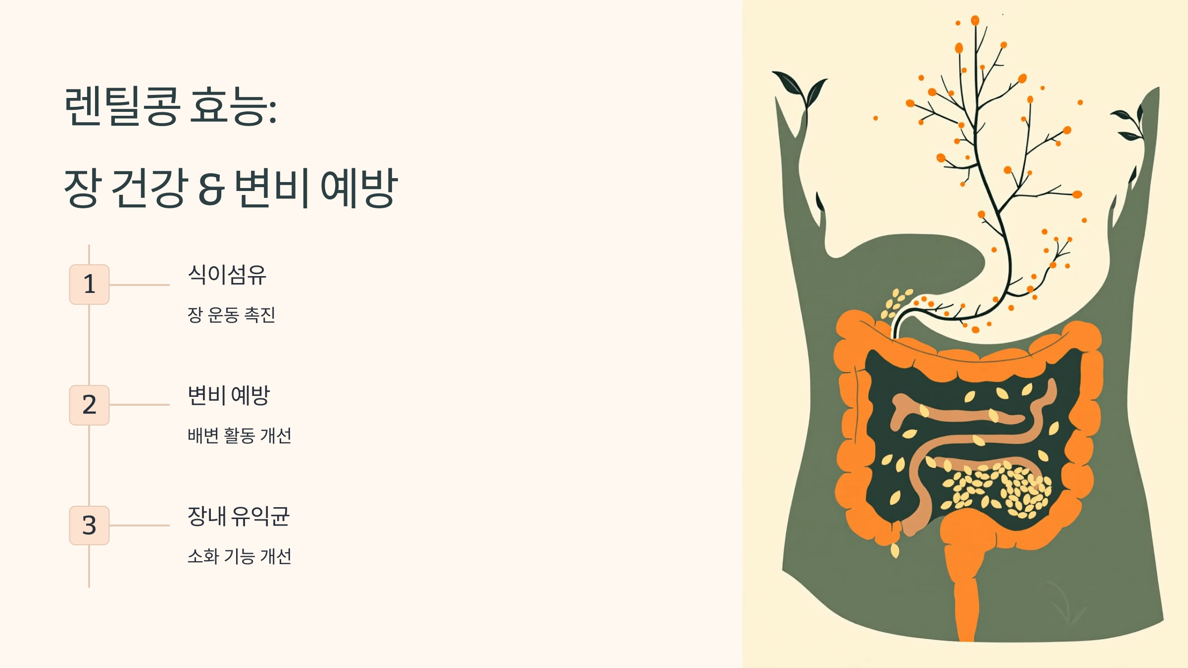 렌틸콩 사진입니다.