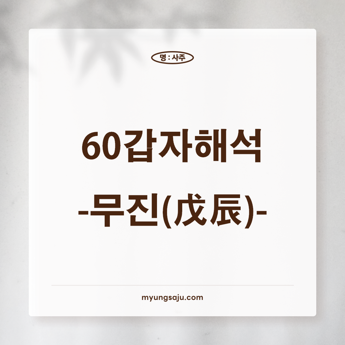 육십갑자 해석 (60갑자) - 무진일주, 무진년주, 무진시주, 무진월주, 무진대운, 무진세운, 무진일운