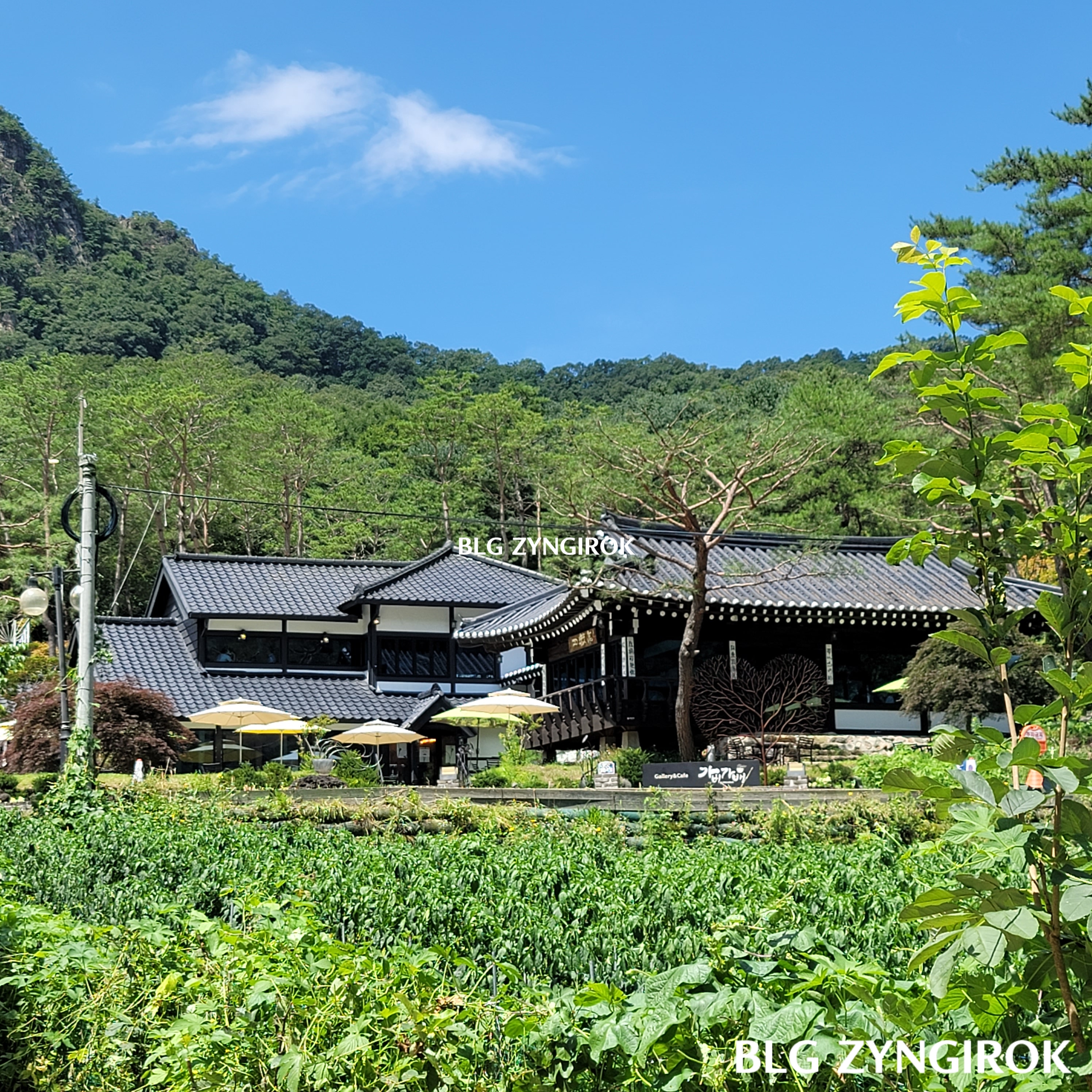 산정호수-수변코스-외곽-카페-가비가배-한옥모습이다.