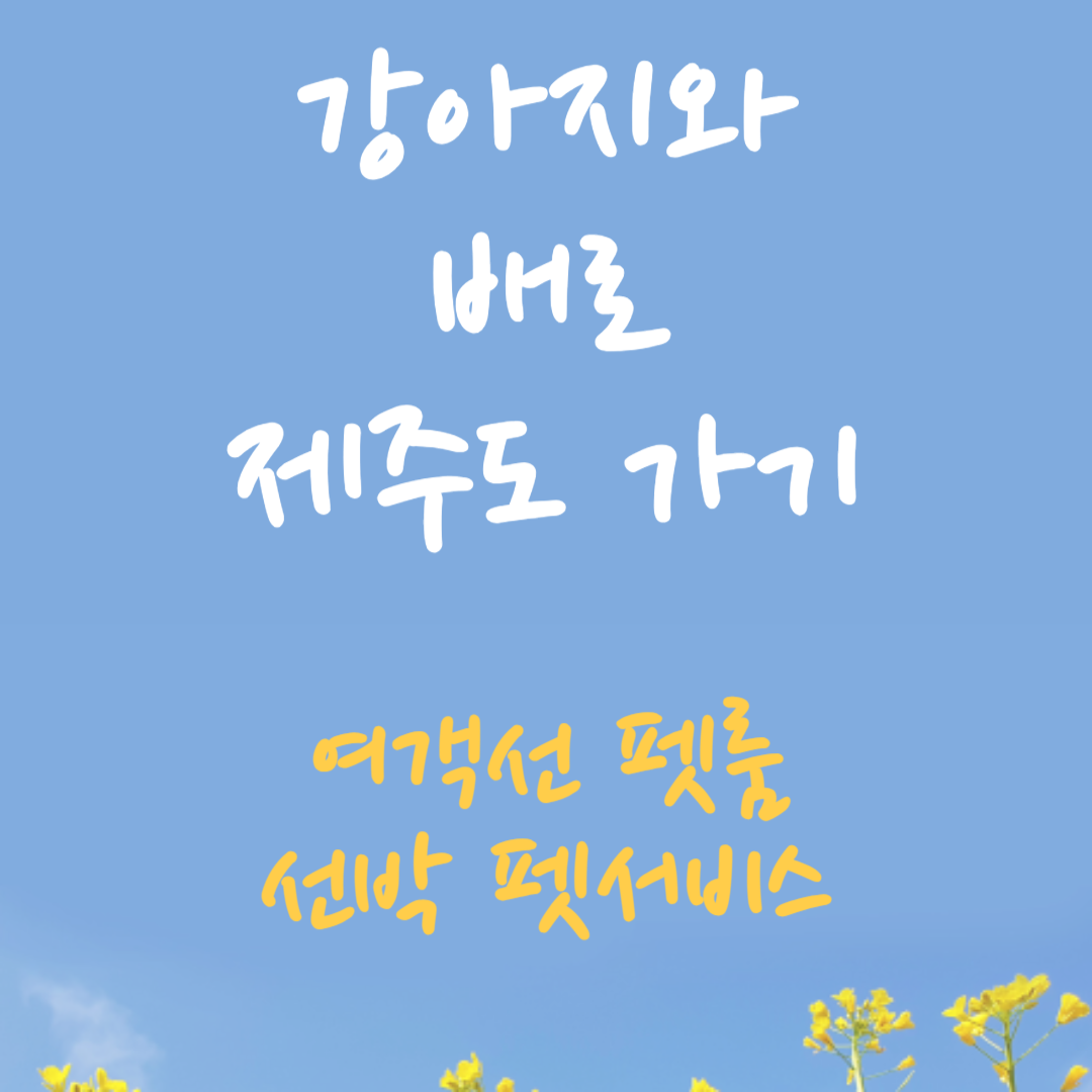 강아지와배로제주도가기