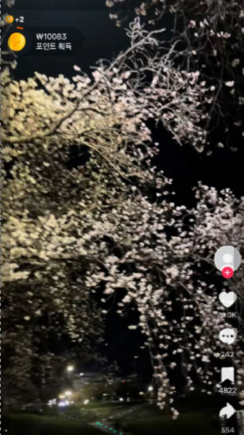 틱톡 가입하고 만원 받는법