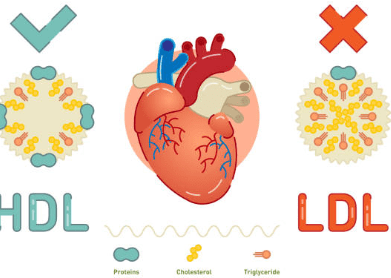 중성지방 낮추는 방법&amp;#44; 중성지방 정상수치