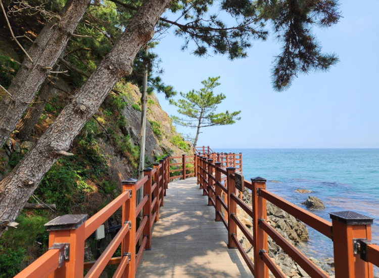 덕봉산 해안생태탐방로