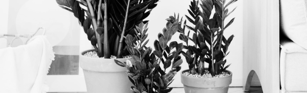 주기: 1달에 1번