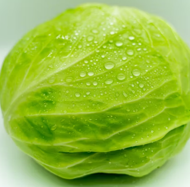 위염에 좋은 음식 영양제 식단