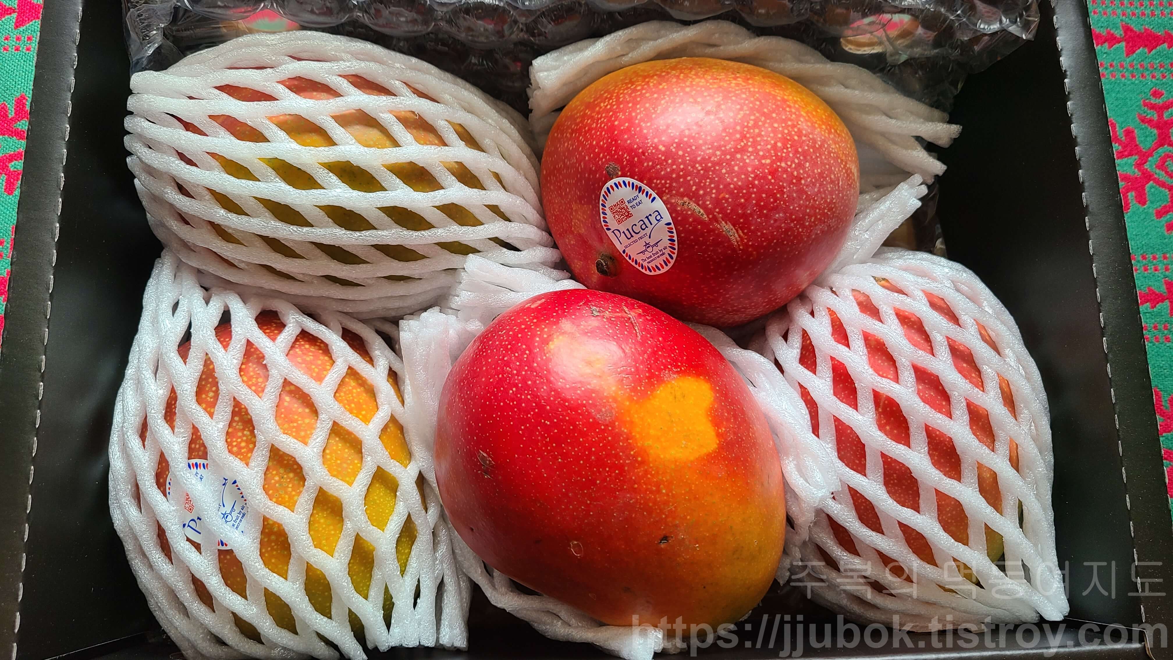 프리미엄-애플망고-선물세트-포장-2