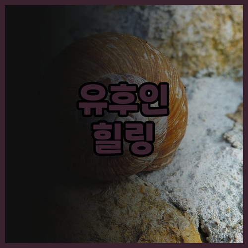 유후인 플로럴 빌리지 호텔 후기 모음