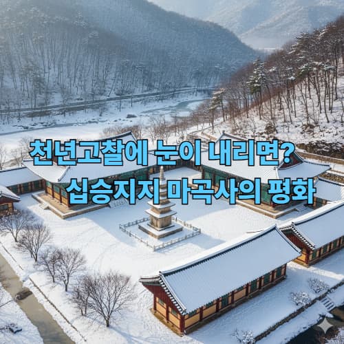 유네스코 마곡사: 눈꽃 핀 천년고찰 겨울 설경 명소 베스트 3