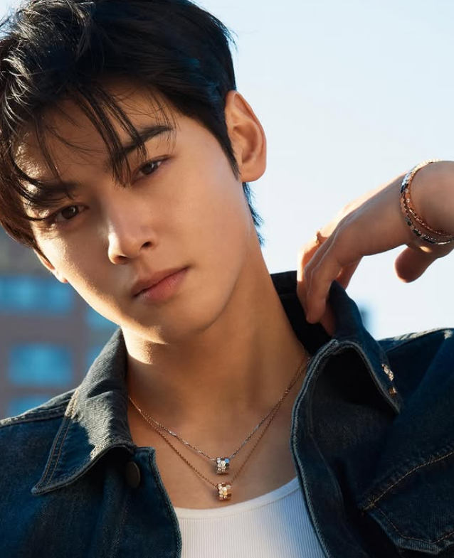 배우차은우