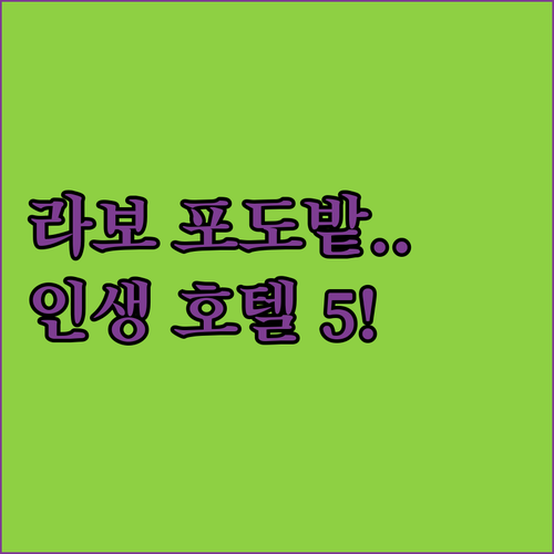 유네스코 세계문화유산 라보 포도밭 사..