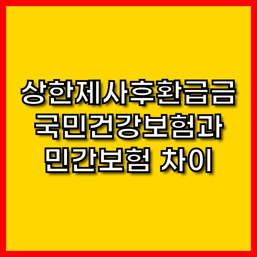 상한제사후환급금 국민건강보험과 민간보험 차이