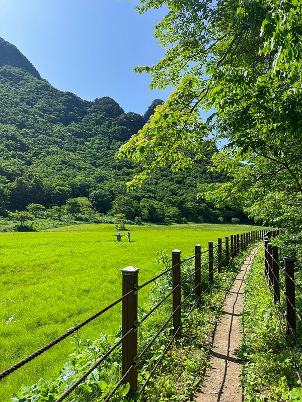울릉도 여행 준비