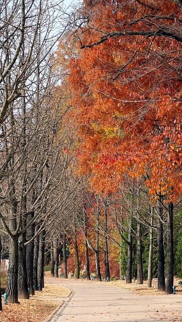 촉탁직 뜻과 개념, 구직신청 총정리
