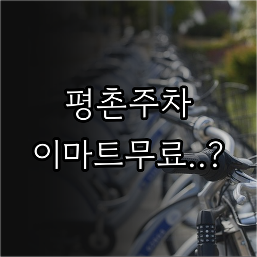 평촌역 노상 공영 주차장 운영 시간 ..