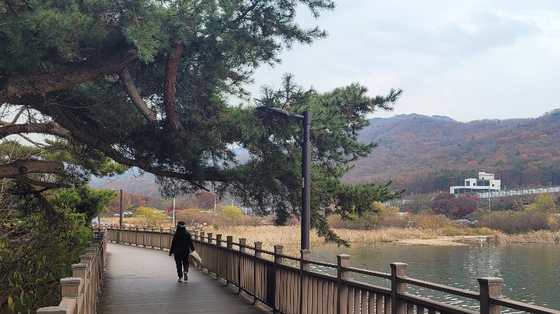 백운호수 주변 풍경 -산책 데이트 코스