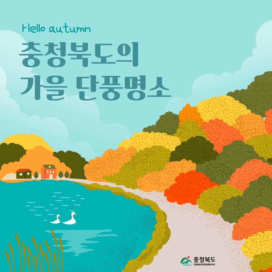 충북단풍명소