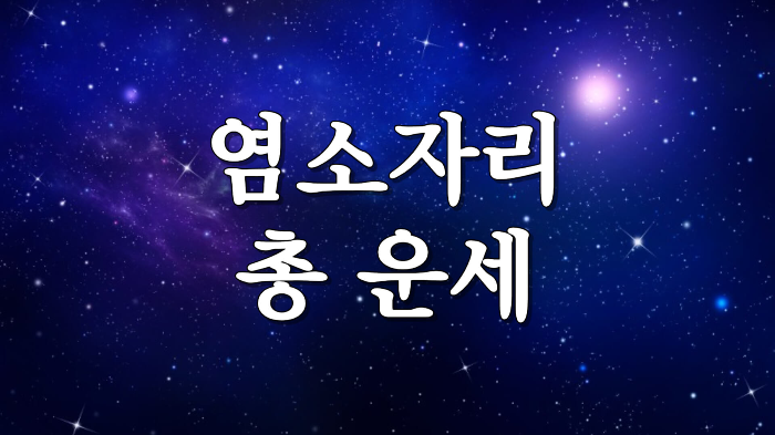 별자리 운세 염소자리 총 운세 성격 직업 재물 궁합