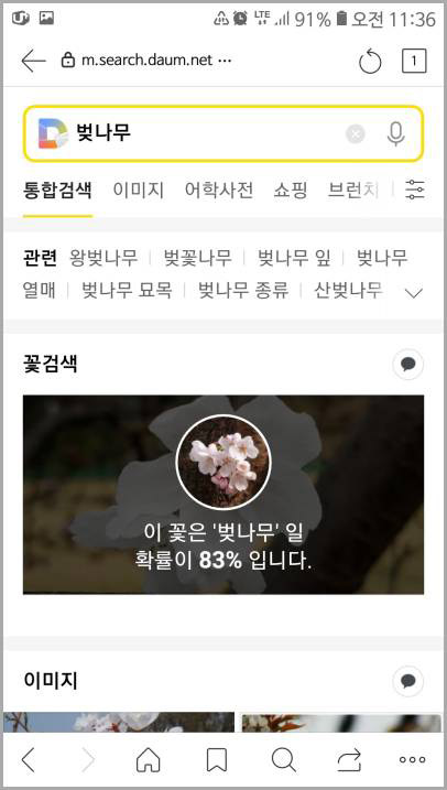 다음 앱 꽃 이름 검색