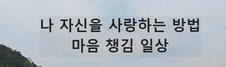 Alt 속성 문제 해결 설명 이미지