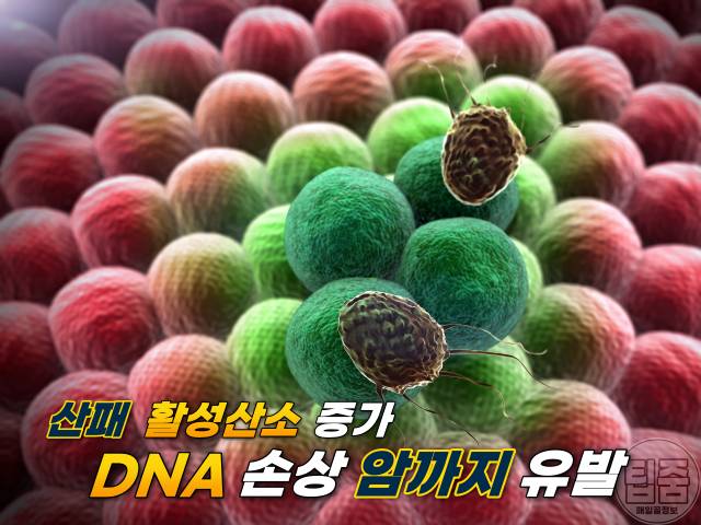 들기름 보관법 유통기한 보관기간