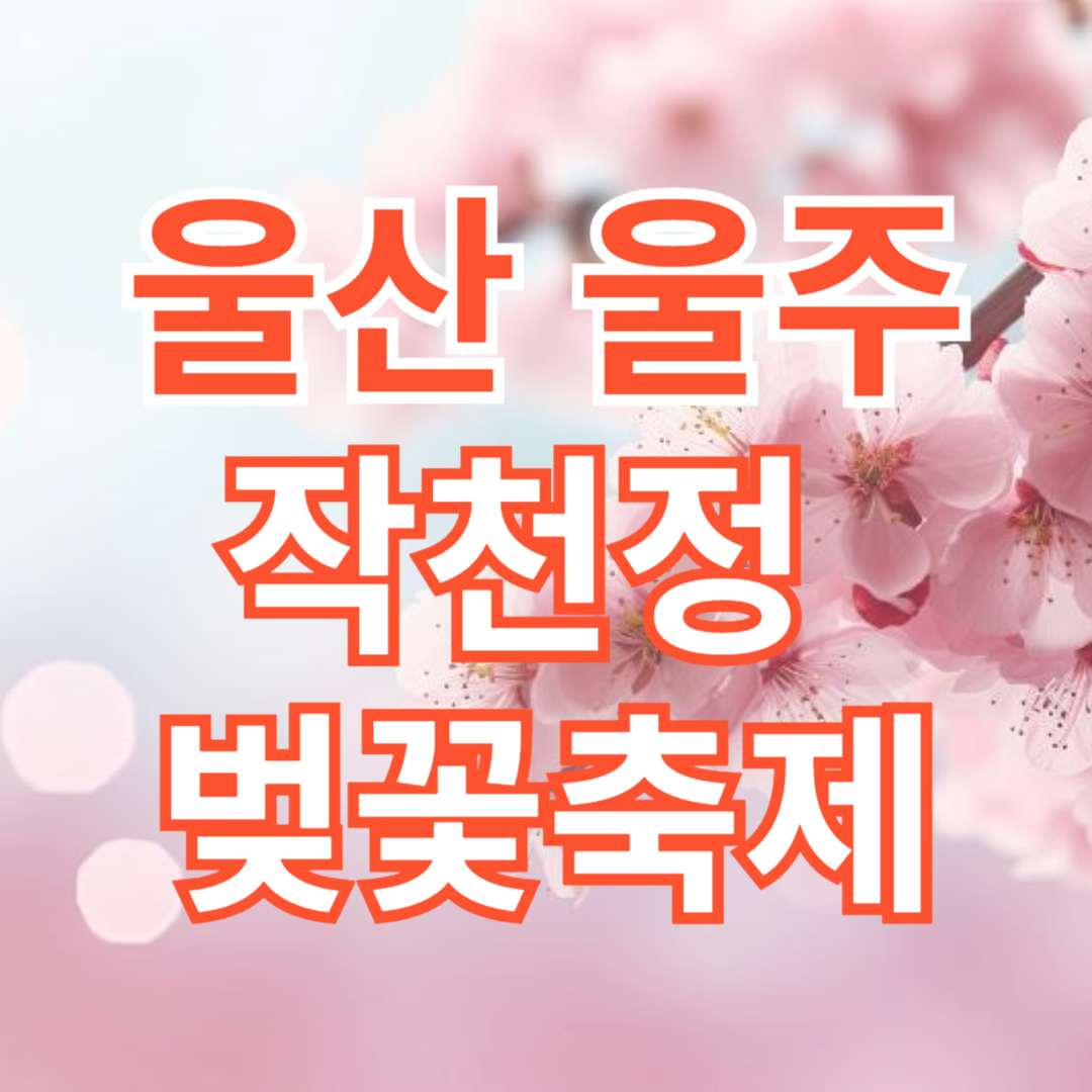 울산울주작천정벚꽃축제