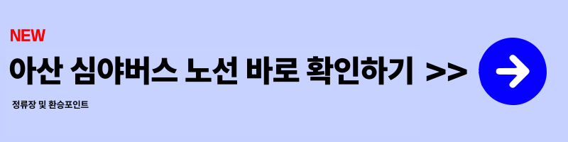2025 아산 심야버스 시범운행 일정 총정리 노선·시간·요금 완벽 안내