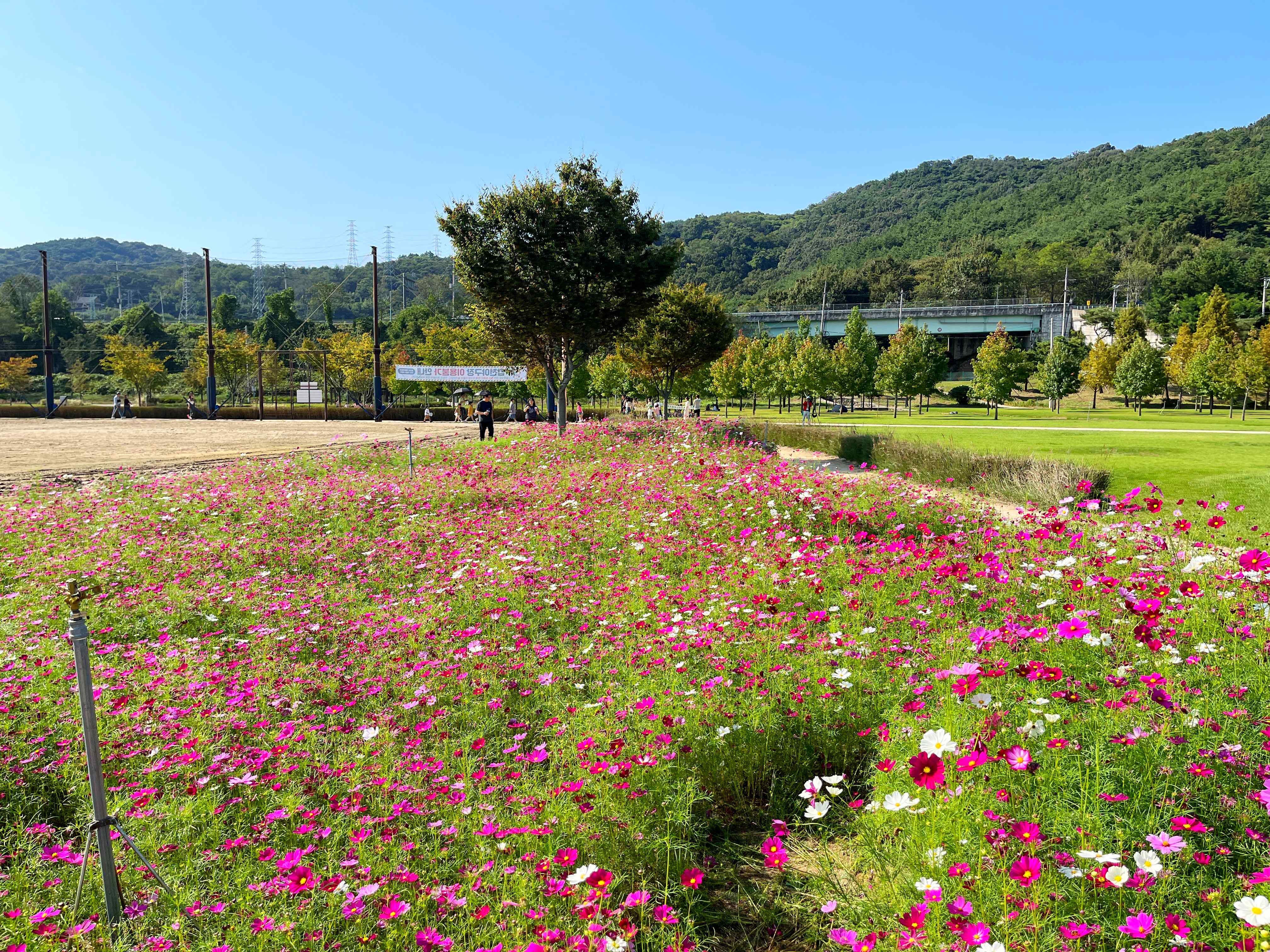 신소양체육공원