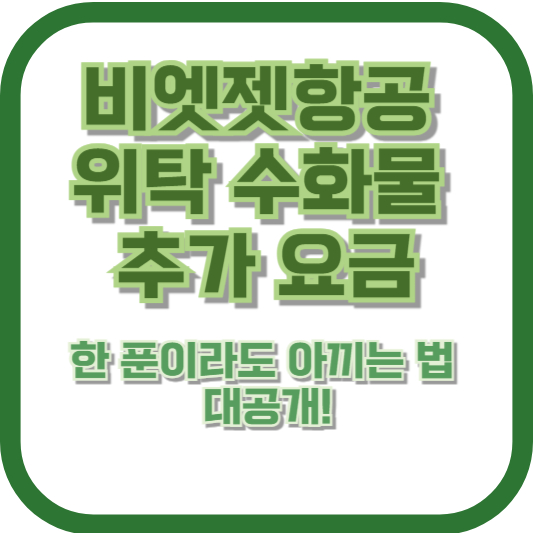 비엣젯항공 위탁 수화물 추가 요금, 한 푼이라도 아끼는 법 대공개!