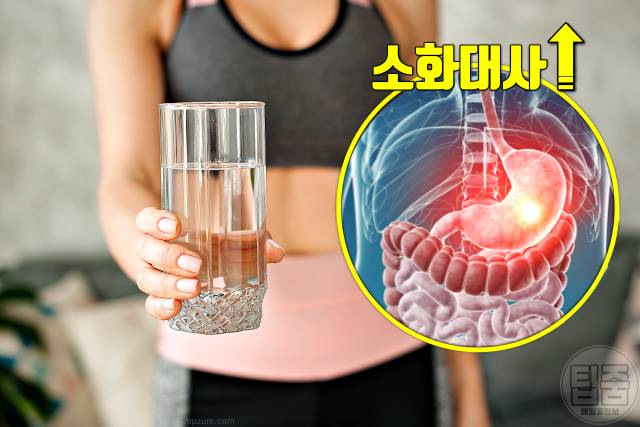 신진대사 높이는 방법 하루 물 섭취량