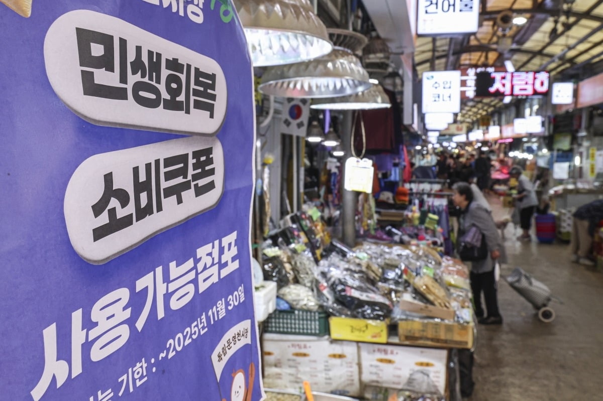 민생지원금 전쟁 추경