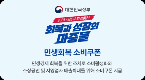 민생회복 소비쿠폰 사용 시 반드시 알아야 할 우선 순위 별 주의사항