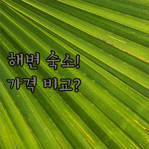 마라카자우 해변 숙소 5곳 비교 분석..