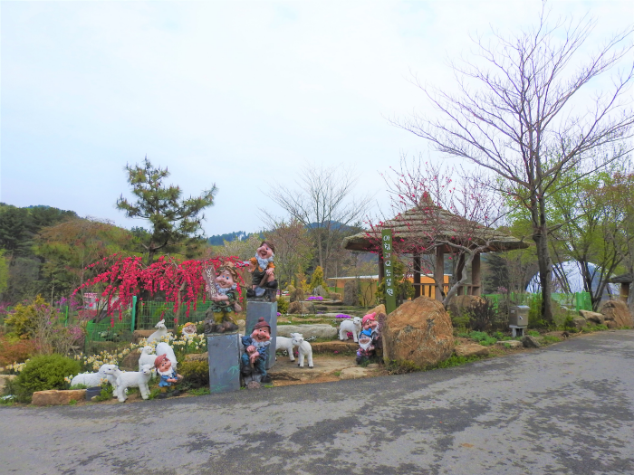 아침고요수목원 수국축제