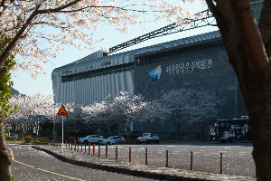 제주숨은벚꽃명소