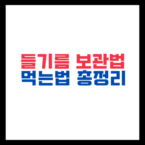 들기름 보관법 먹는법 총정리 2024