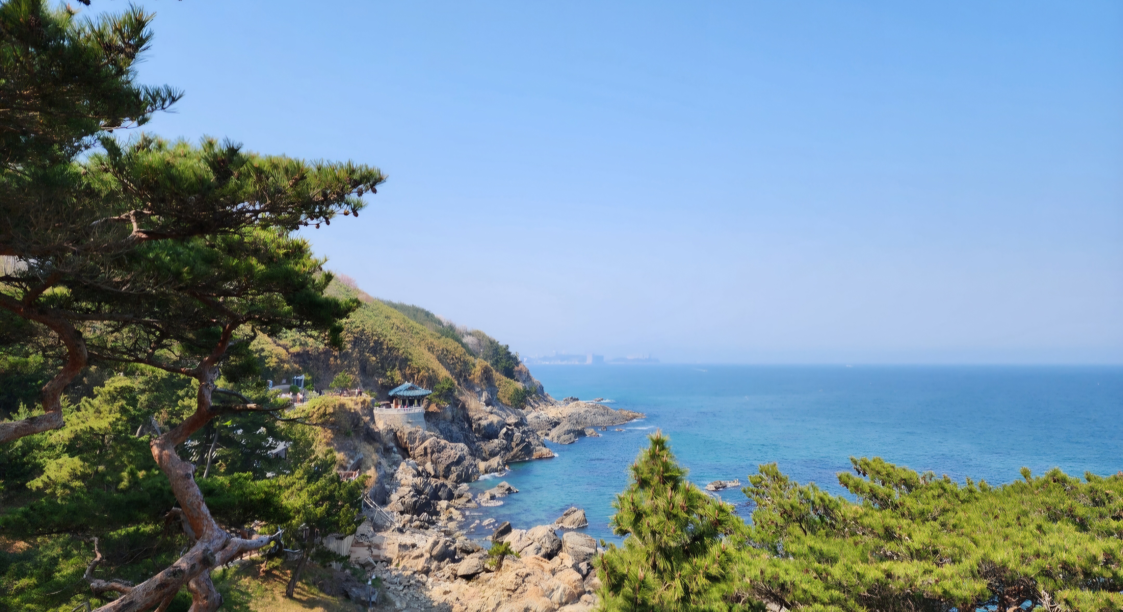 강원도 관련 사진