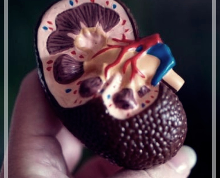 급성신우염: 증상, 원인 및 치료에 좋은 음식